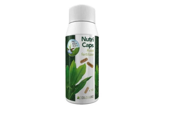 Colombo NutriCaps Root Fert